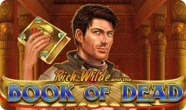 Vip Casino giochi Book of Dead