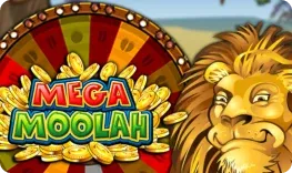 Vip Casino giochi Mega Moolah