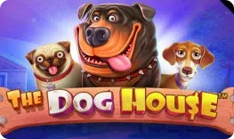 Vip Casino giochi The Dog House